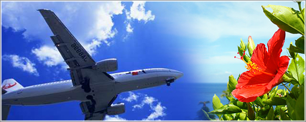 航空券付き宿泊プラン