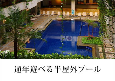 通年遊べる半屋外プール