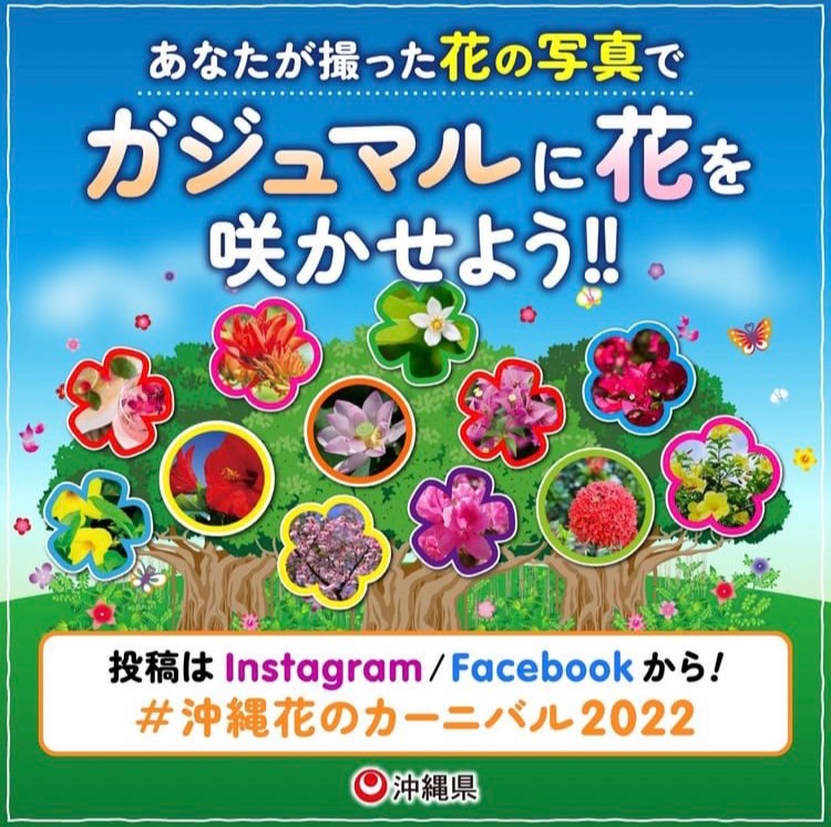 お次は、、、「～笑顔の花を咲かせようプロジェクト～」ご紹介♪