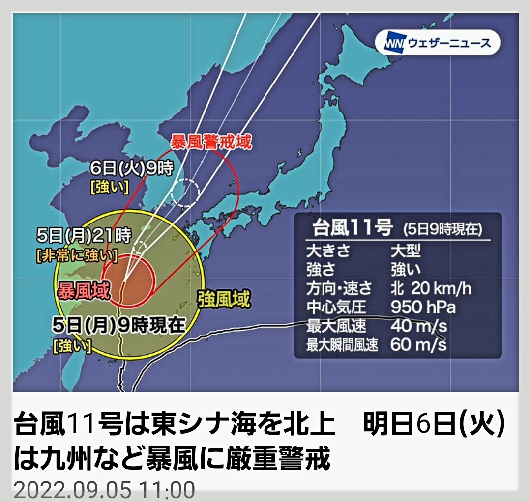 台風11号の通過を経て、、、